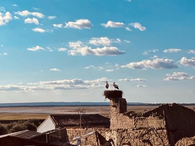 Casa Rural La Cruz El Gordo Kültér fotó