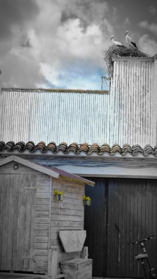 Casa Rural La Cruz El Gordo Kültér fotó